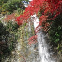 Osaka, Minoo Park_Autumn Colors_3